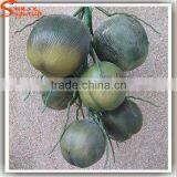 Handmade Wholesale Green Fake Coconuts for Sale thumbnail-1
