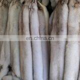 100% Real Blue Fox Fur Skin /Fox Fur Pelt For Garment Collar thumbnail-3