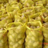 Fresh Potato thumbnail-2