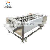 Large Capacity Industrial Fruit Vegetable Ternip Potato Washing and Peeling Machine