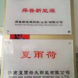 Shunpu New Energy Technoiogy(Shandong)CO.,Ltd company overview - view 1 thumbnail