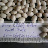 Round White Kidney Beans