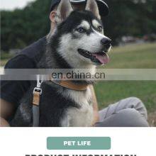 Soft and Comfortable Collar and Leash Set for Dogs High Quality and Practical Design Dog Walking Collar and Leash Set thumbnail-3