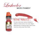 LUSHCOLOR Micro Permanent Makeup Pigment and Permanent Makeup Tattoo Ink Set Supplier thumbnail-1