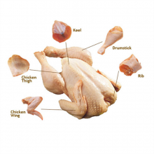 Premium Grade Fresh Frozen Chicken in a Best Rate thumbnail-5