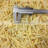 Frozen Bamboo Shoot Strips thumbnail-2
