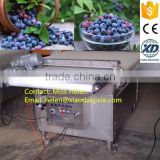 High quality blueberry weighting and packing line, blueberry sorting line