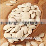 Yellow Good Quality Pumpkin Seeds