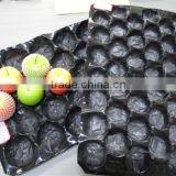 2016 Best Selling Colorful Customized PP Apple Insert Tray thumbnail-1