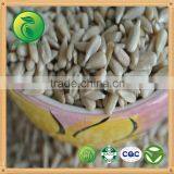 Bakery Sunflower Kernels no Shell Edible Directly thumbnail-3