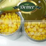 Best Sales Canned Sweet Corn