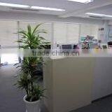 Y.s. Corporation company overview - view 2 thumbnail