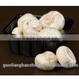 Green Plastic Eco Friendly Fish Food Packaging Container thumbnail-1