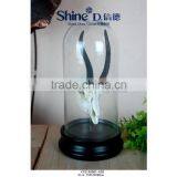 Unique Gazelle Skull Small Animal Head Under Glass Dome With Base Stock for Sale thumbnail-1