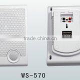 WS-570 Professional Indoor Wall Hanging Speaker, pa Speaker Box thumbnail-5