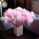 Aimigou Telescoping Cat Teaser Toy , Feather Cat Wand Cat Rod thumbnail-3