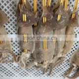 2016 Newly fresh top quality frozen squid string from China