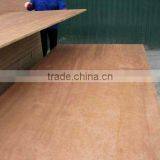 EUCALYPTUS PLYWOOD WITH THE MOST COMPETITIVE PRICE thumbnail-1
