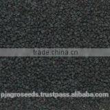 Hybrid Onion Seeds thumbnail-3