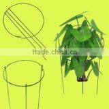 Dark Green Border Fencing Wire Garden Fence Path Support thumbnail-3