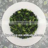 Dehydrated Celery Flakes for Spiced Food thumbnail-1