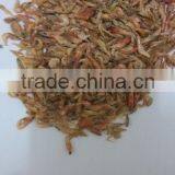 Freezed Dried Shrimp Fish Food thumbnail-2