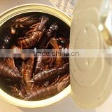 canned locust bird,fish,reptile and other animals