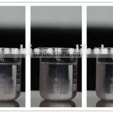 Advanced Nutrient Water Soluble NPK Fertilizer 20-10-30+TE thumbnail-3