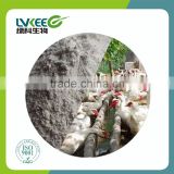 aibaba China High Quality 100 billion cfu/g Bacillus Licheniformis for animal feed additive