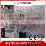 Halal Poultry Chicken Processing Equipment thumbnail-2