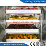 Family Use Small Vacuum Freeze Dryer