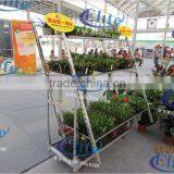 A37 Vegetable Seedings Plant Trolley Container thumbnail-4