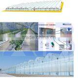 Single Layer Film Greenhouse thumbnail-1