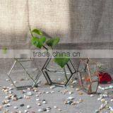 New Design Home Decor Hanging Terrarium Hydroponic Glass Containers thumbnail-2