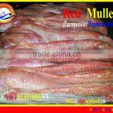 WHOLE FROZEN RED MULLET thumbnail-5