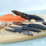 4 Pieces Durable And Sharp Zirconia With Mirrior Polishing Ceramic Knife thumbnail-1