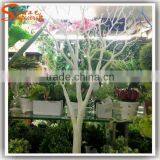 Wholesale Artificial White Dry Tree Branches Without Leaves for Indoor Decoration thumbnail-4