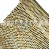 Reed Matting Reed Mat thumbnail-1