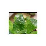 Aloe-emodin thumbnail-3