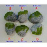 Avatar Pumice Stone, Aquarium Pumice Stone thumbnail-1