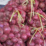 Wholesale New Fresh Red Onion With Good Price thumbnail-5