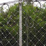 Hot Sale Competitive Slope Protective Fence