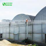 Classic Commercial Plastic Film Greenhouse/Garden Greenhouse for Sale thumbnail-7