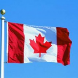 Canada Double customs liquidation and door to door