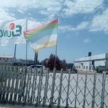 Tianjin Food Junc Tomato Group Co.,ltd company overview - view 1 thumbnail