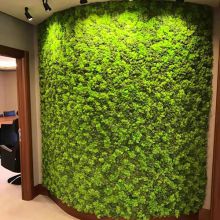 Factory Wholesale high quality Colourful moss wall panel preserved