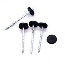 Galvanized Umbrella Head Roof Nails Umbrella Type Roofing Nail Umbrella Head Roofing Nail thumbnail-2
