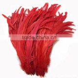 Wholesale Long Rooster Feathers Price of Chicken Feather Trims Quality Choice thumbnail-2