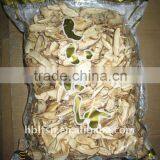 Shiitake Mushroom Cultivation thumbnail-6