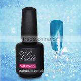 Wholesale Cat Eye Bling Color Led Nail Gel Polish,soak off Magnetic uv Gel Polish thumbnail-1